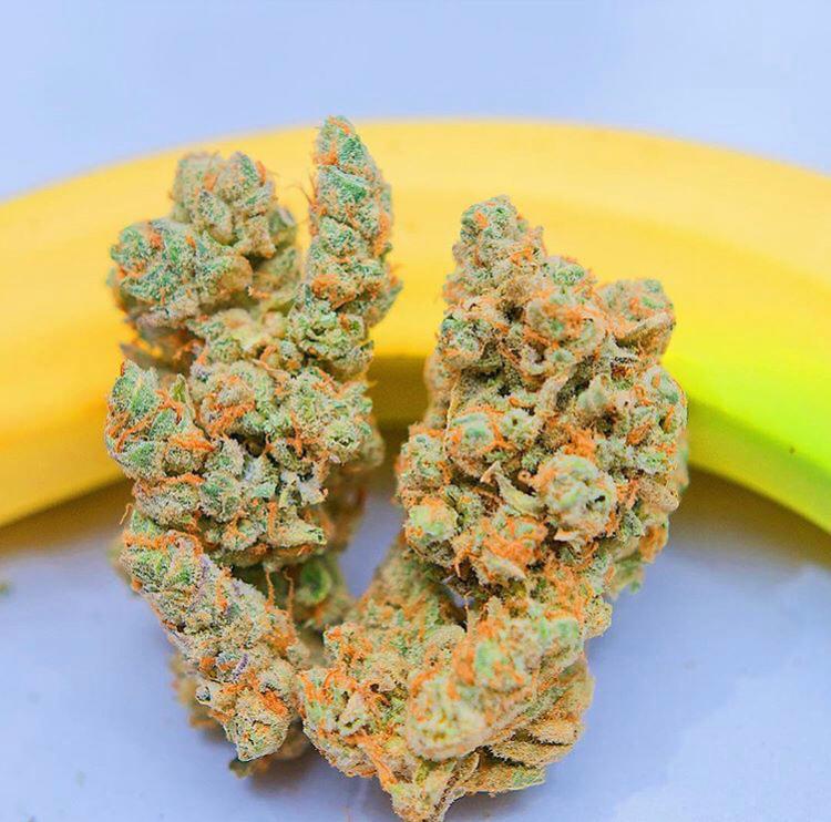 banana kush strain